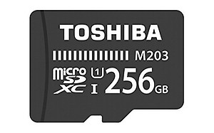 Toshiba M203 256GB Class 10 Micro SD Memory Card (THN-M203K2560A4) price in India.