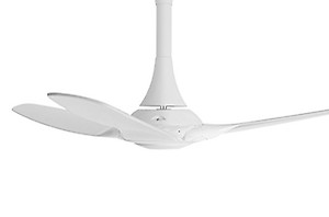 Orient Electric Aeroquiet Noiseless Premium Ceiling Fan for Home | 18-pole strong motor | 48 inch (1230 mm) (White, Pack of 1) price in India.