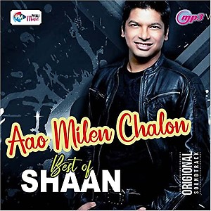 Generic Pen Drive - Hits of Shaan // Bollywood // USB // CAR Song // 490 MP3 Audio // 16GB price in India.