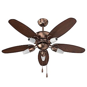 Polycab Superia SP02 Super Premium 1200 mm Designer Ceiling Fan and 2 years warranty(Brown) price in India.