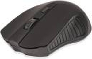 Terabyte 2.4 GHz TB-WM-042 Customized Computer Wireless Mouse for PC (Black) price in India.