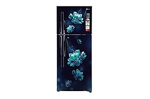 LG 260 Litres 2 Star Frost Free Double Door Convertible Refrigerator with Multi Air Flow System (GL-S292RBCY.DBCZEB, Blue Charm) price in India.