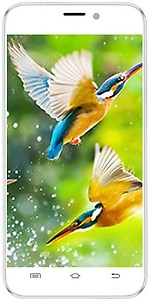 Intex Aqua Q8 (1 GB, 8 GB, White) price in India.
