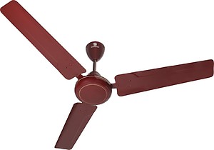 Havells Standard Zinger 420 mm 3 Blade Ceiling Fan  (brown, Pack of 1) price in India.