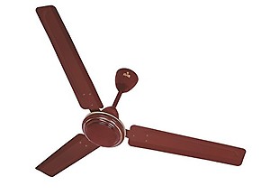 Polycab Annular DLX 1200mm 1200 mm 3 Blade Ceiling Fan(Luster Brown Copper Bronze, Pack of 1) price in India.