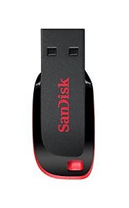 SanDisk Cruzer Blade USB Flash Drive (64GB)