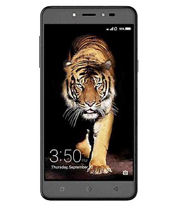 Coolpad Note 5 4G Dual Sim 32 GB (Royal Gold) price in India.