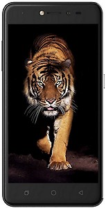 Coolpad Note 5 Lite (Royal Gold, 3GB RAM + 16 GB) price in India.