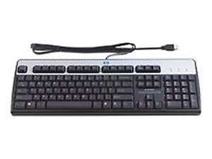 HP Standard USB Keyboard (DT528AT, Black) price in India.