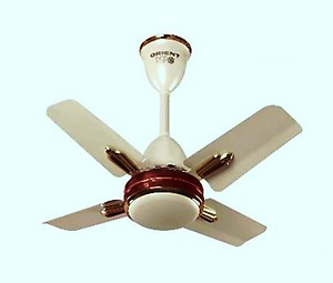 Orient Electric Quasar Ornamental 24-inch Metallic Ivory and Cherry 600 mm 4 Blade Ceiling Fan  (ivory, Pack of 1) price in India.