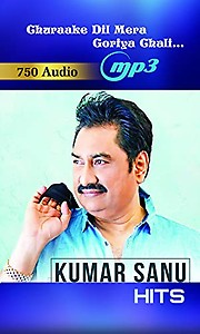 Generic Pen Drive - Hits of KUMAR SANU/Bollywood Song/CAR Songs/Long Drive/Audio MP3 / USB Song / 16GB price in India.