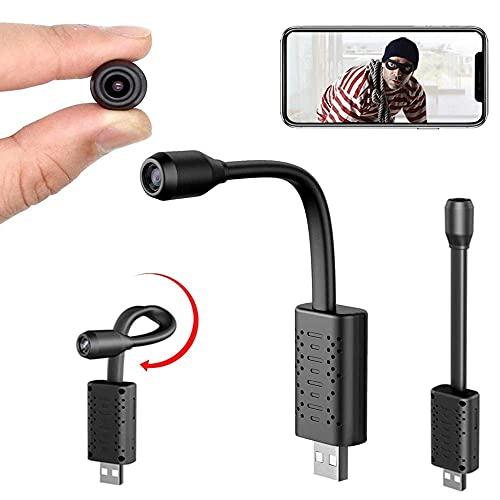 hidden ip cam